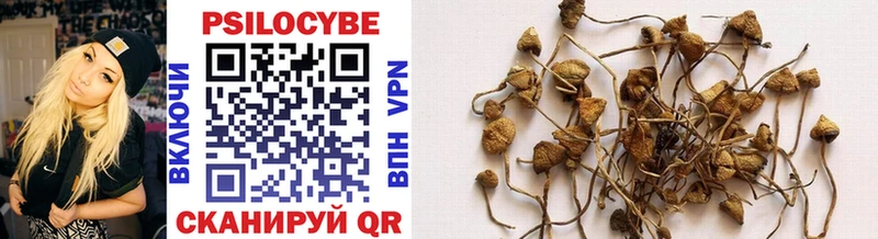 это формула  Кондрово  Псилоцибиновые грибы Cubensis 